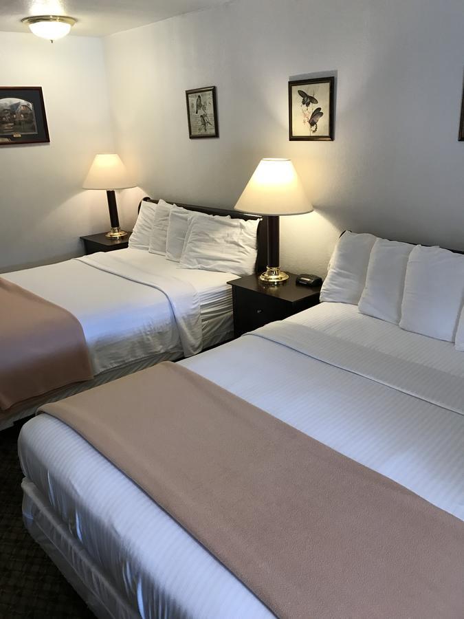 Gold Pan Lodge Quincy Bagian luar foto